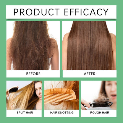 3pcs Rosemary Hair Growth Shampoo